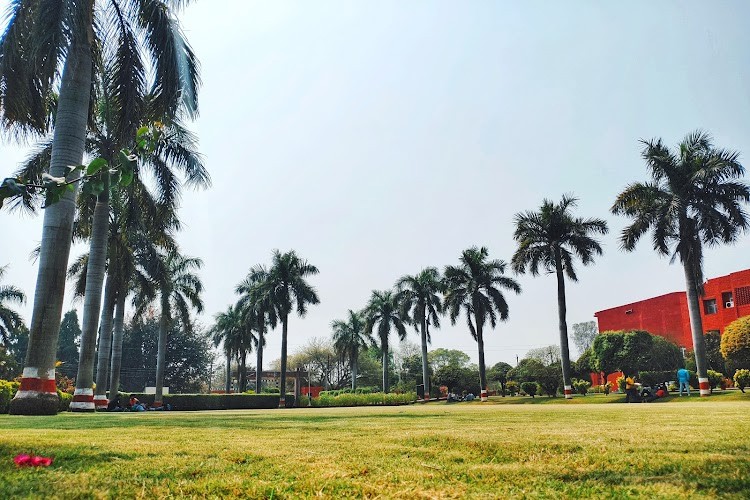 Central Institute for Subtropical Horticulture, Lucknow