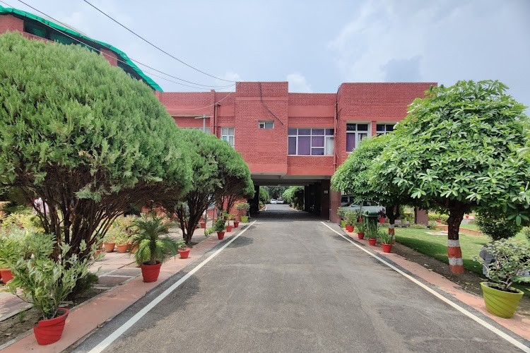 Central Institute for Subtropical Horticulture, Lucknow
