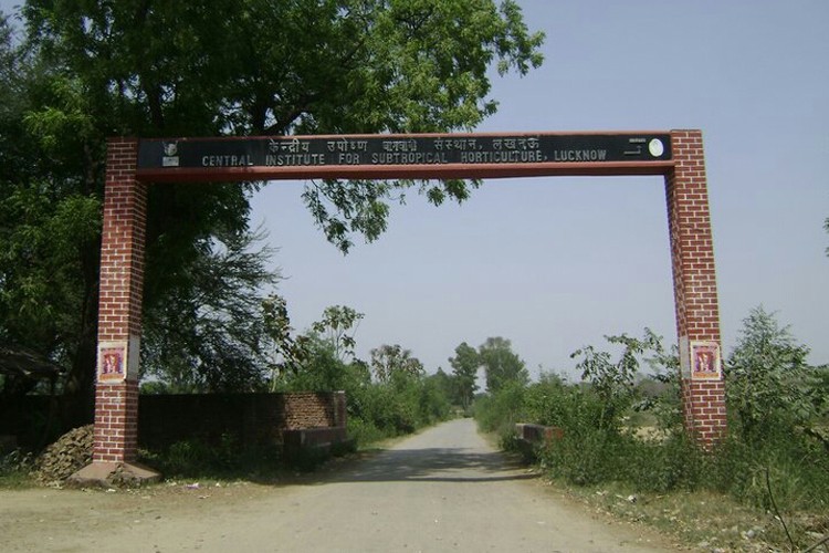 Central Institute for Subtropical Horticulture, Lucknow