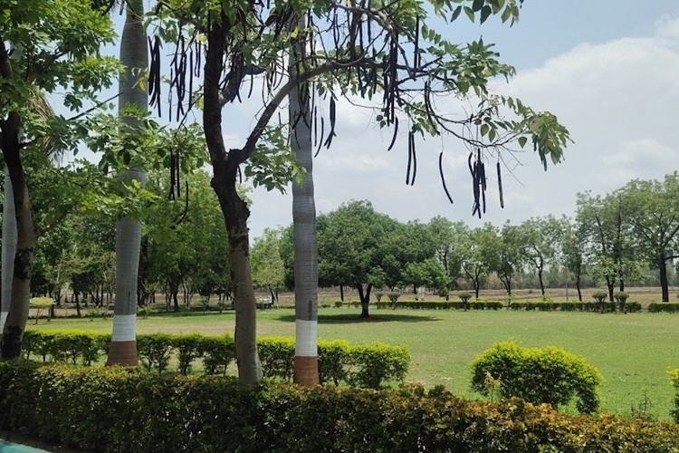 Central Institute of Cotton Research, Nagpur