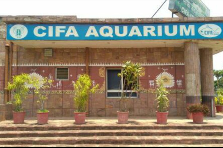 Central Institute of Freshwater Aquaculture, Bhubaneswar