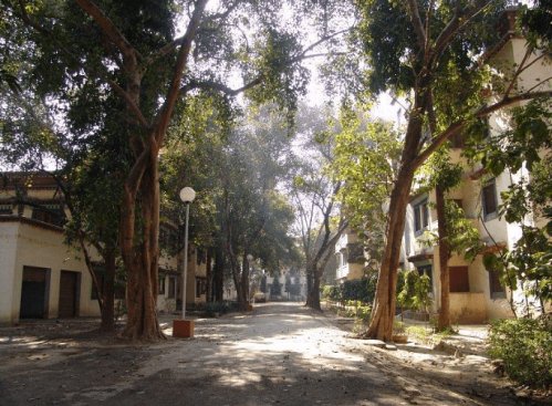 Central Institute of Higher Tibetan Studies, Varanasi