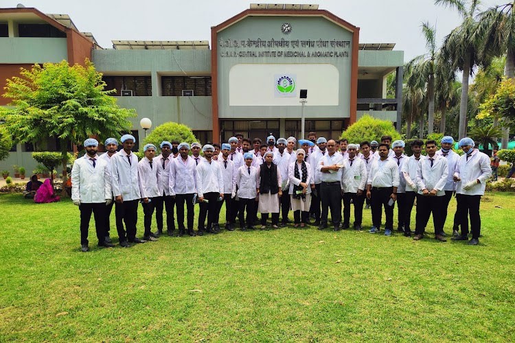 Central Institute of Medicinal and Aromatic Plants, Lucknow