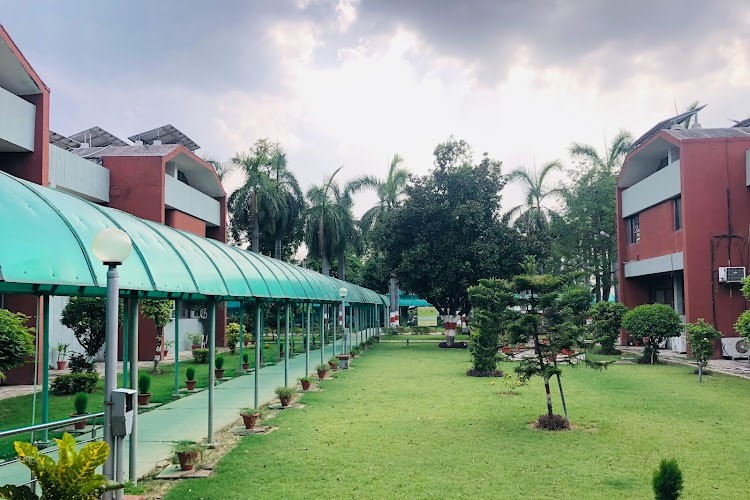 Central Institute of Medicinal and Aromatic Plants, Lucknow