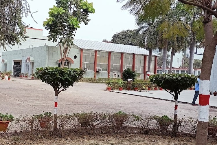 Central Institute of Medicinal and Aromatic Plants, Lucknow