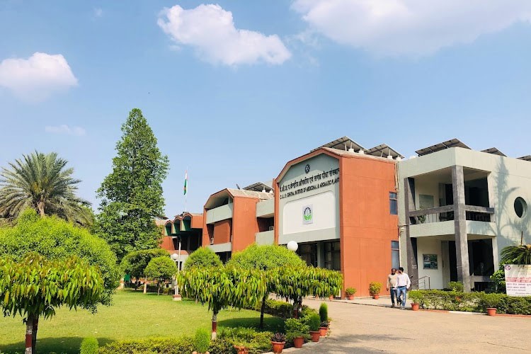 Central Institute of Medicinal and Aromatic Plants, Lucknow