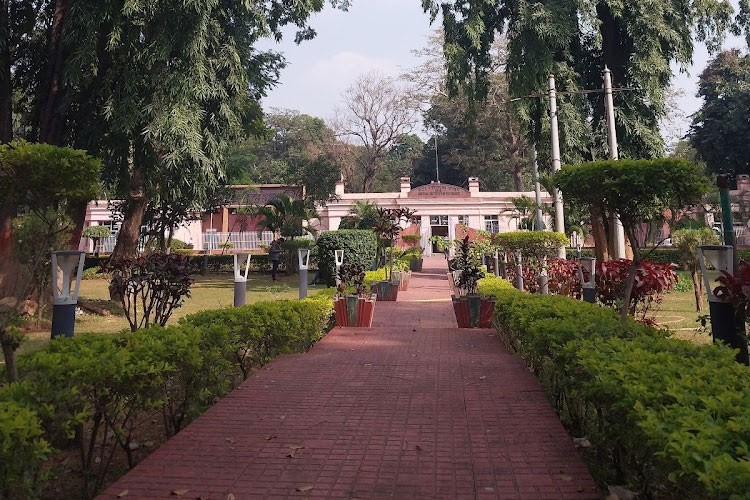 Central Institute of Psychiatry, Ranchi