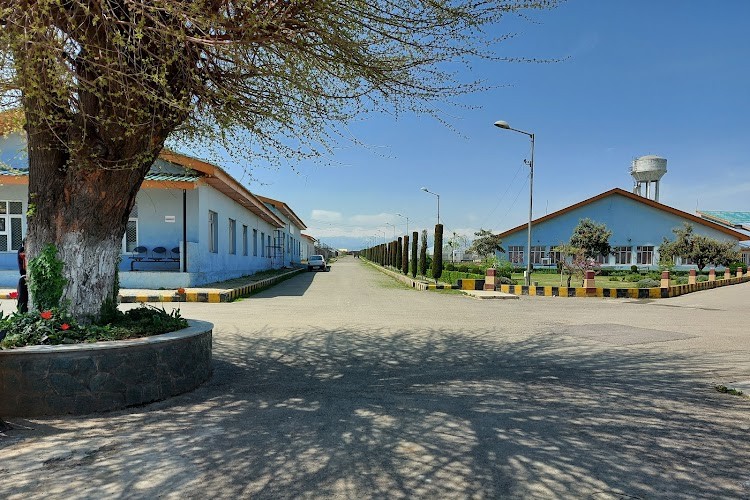 Central Institute of Temperate Horticultural, Srinagar