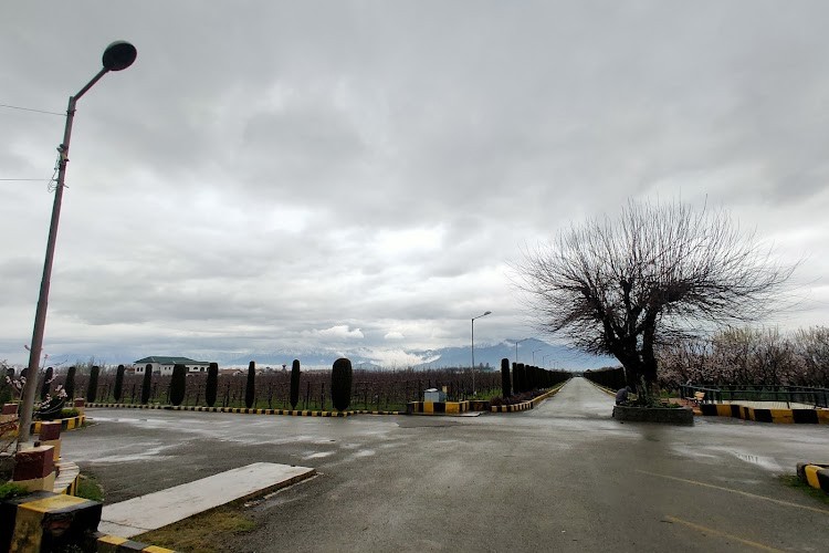 Central Institute of Temperate Horticultural, Srinagar