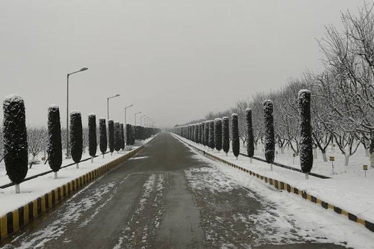 Central Institute of Temperate Horticultural, Srinagar