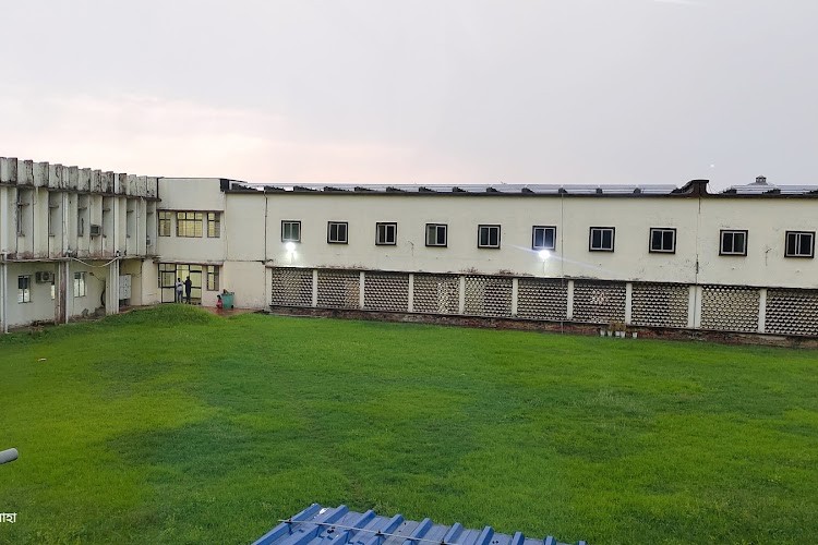 Central Rice Research Institute, Cuttack