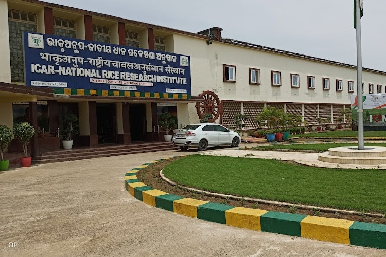 Central Rice Research Institute, Cuttack