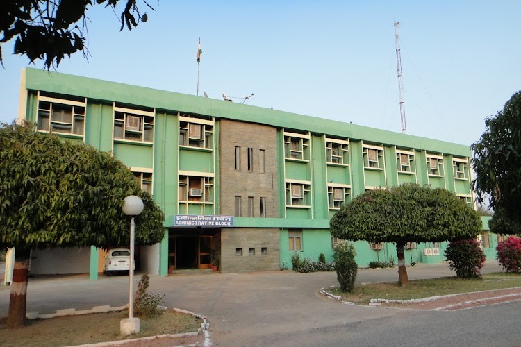 Central Sheep and Wool Research Institute, Tonk