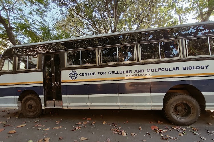 Centre for Cellular and Molecular Biology, Hyderabad