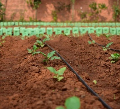 Centre of Agri Management, Bhubaneswar