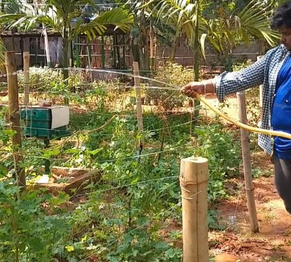 Centre of Agri Management, Bhubaneswar