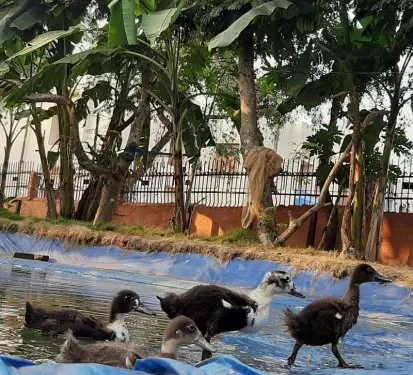 Centre of Agri Management, Bhubaneswar