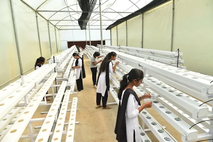 Centurion University of Technology and Management, Visakhapatnam