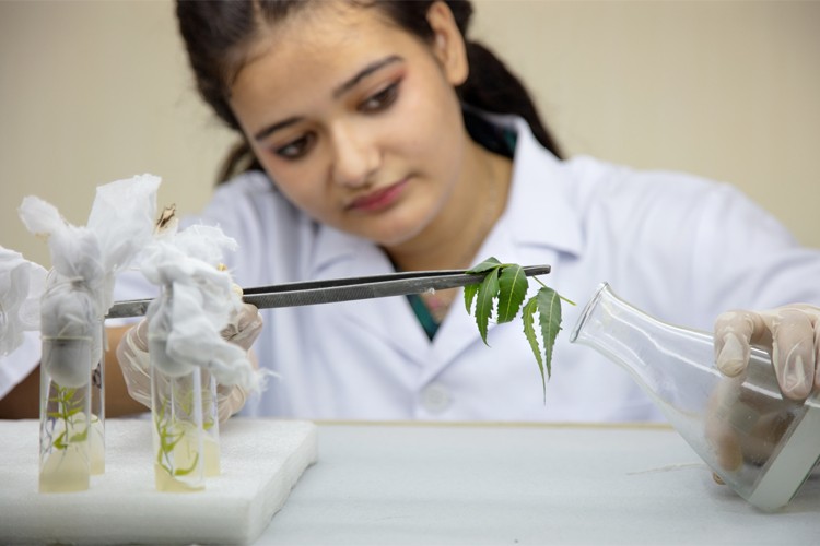 Chandigarh College of Pharmacy, Mohali