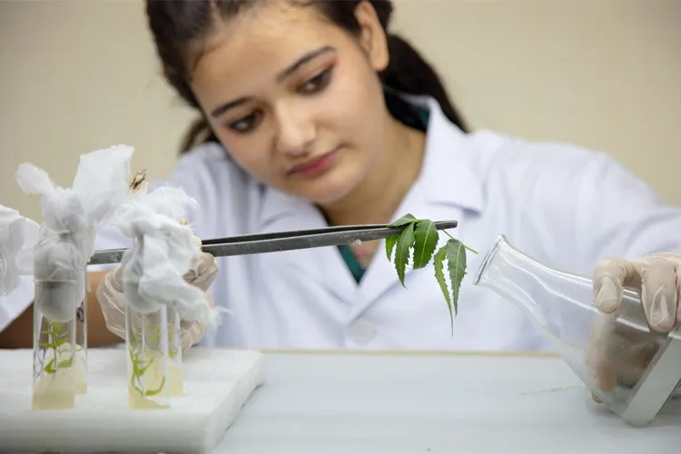 Chandigarh College of Pharmacy, Mohali