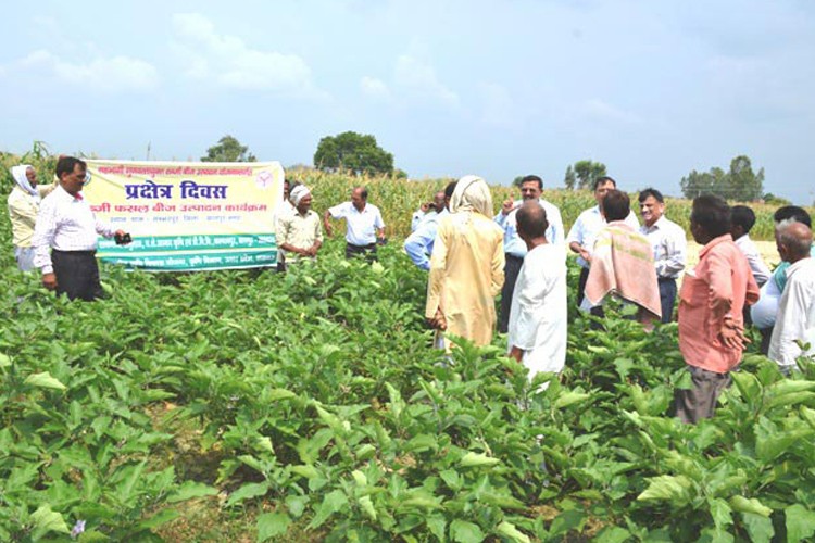 Chandra Shekhar Azad University of Agriculture and Technology, Kanpur