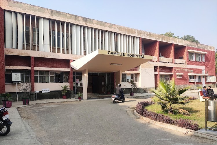 Chaudhary Charan Singh Haryana Agricultural University, Hisar