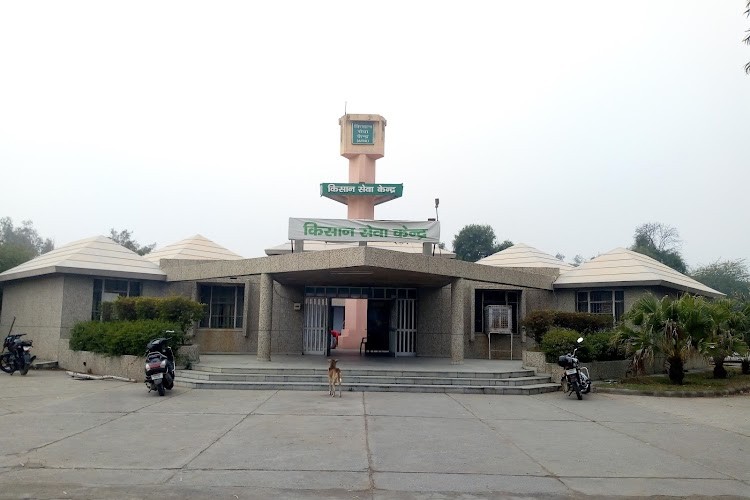 Chaudhary Charan Singh Haryana Agricultural University, Hisar