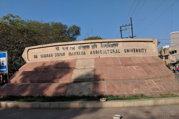 Chaudhary Charan Singh Haryana Agricultural University, Hisar