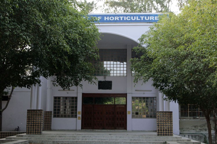 Chaudhary Charan Singh University, Meerut