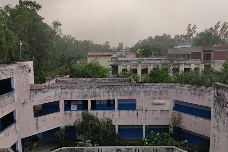 Chaudhary Charan Singh University, Meerut