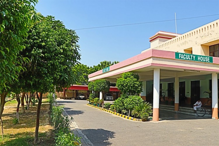 Chaudhary Devi Lal University, Sirsa