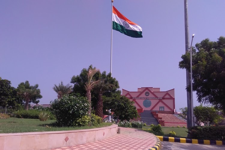 Chaudhary Devi Lal University, Sirsa