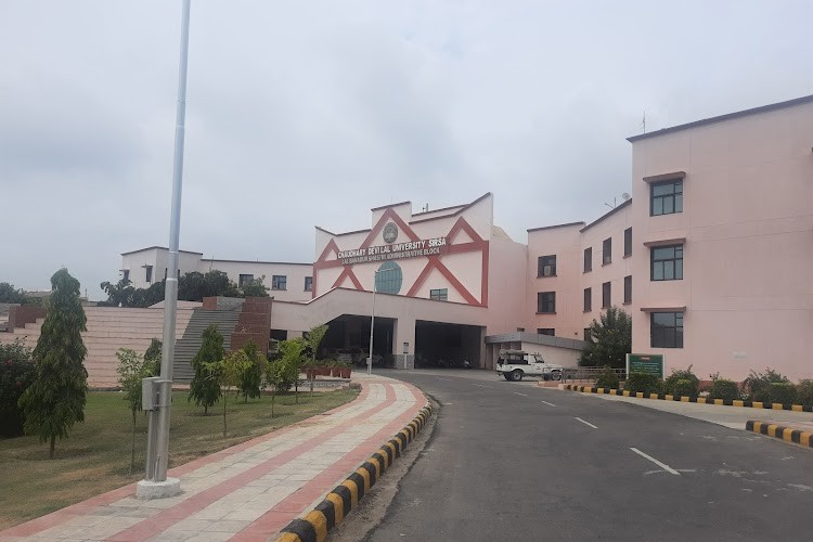 Chaudhary Devi Lal University, Sirsa