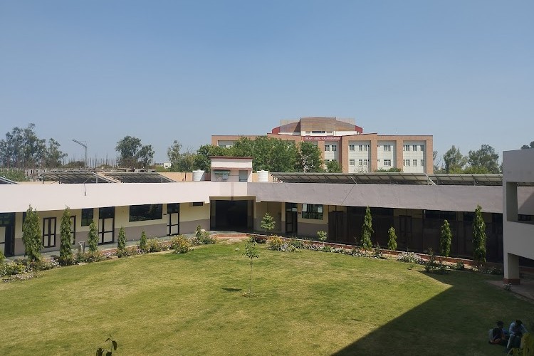 Chaudhary Devi Lal University, Sirsa