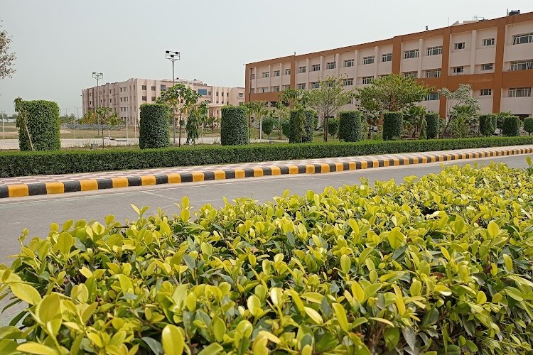 Chaudhary Ranbir Singh University, Jind