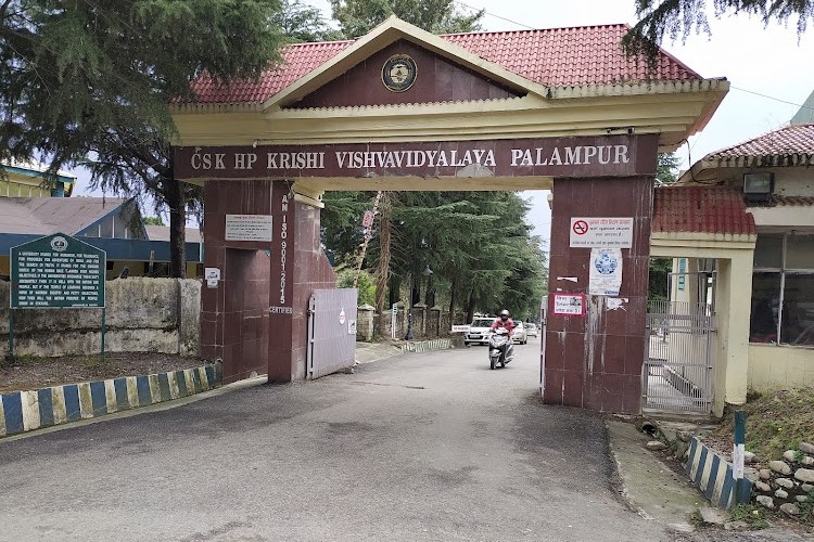 Chaudhary Sarwan Kumar Himachal Pradesh Krishi Vishvavidyalaya, Palampur