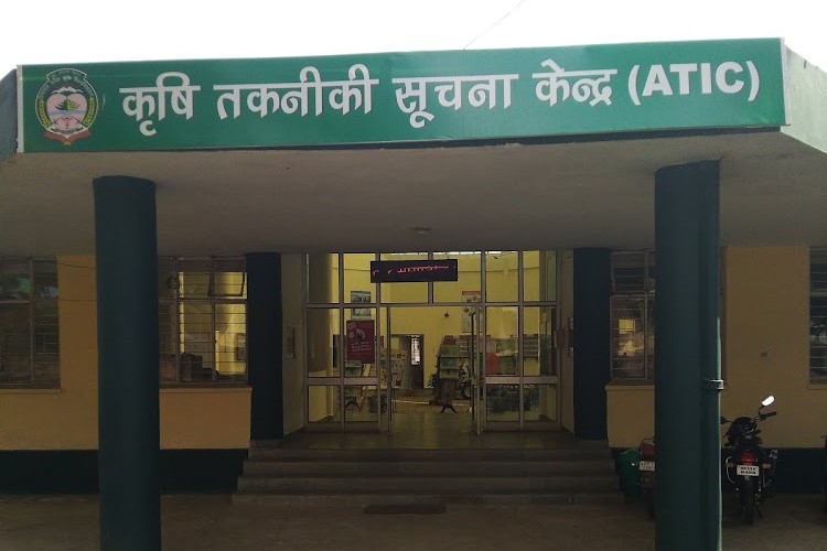 Chaudhary Sarwan Kumar Himachal Pradesh Krishi Vishvavidyalaya, Palampur