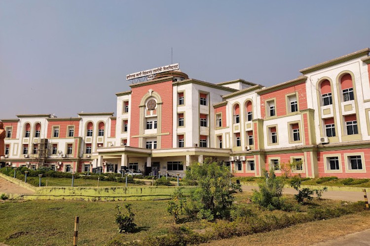 Chhattisgarh Swami Vivekanand Technical University, Bhilai