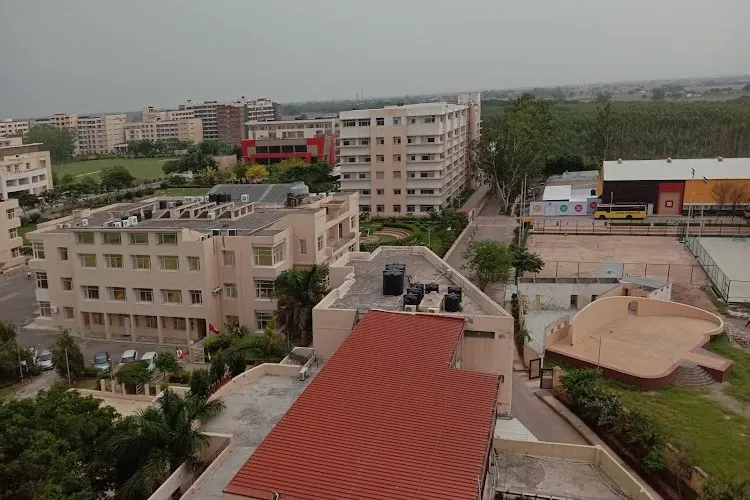 Chitkara University, Patiala