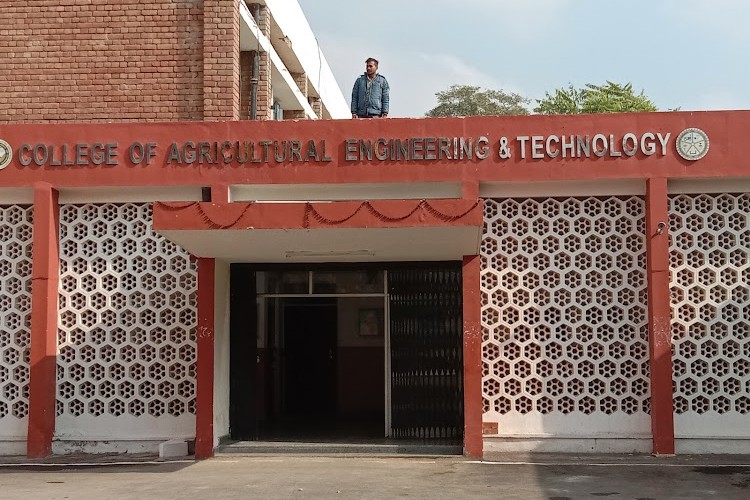 College of Agricultural Engineering and Technology, Hisar