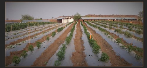 College of Agriculture, Latur