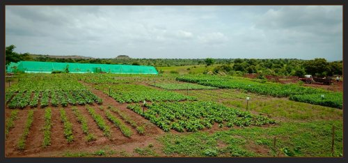 College of Agriculture, Latur