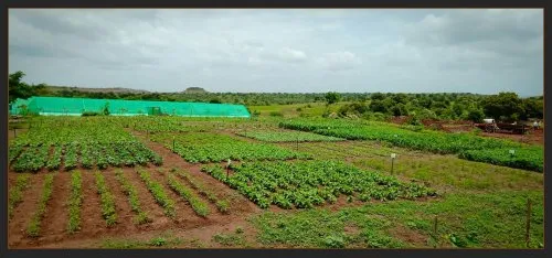 College of Agriculture, Latur
