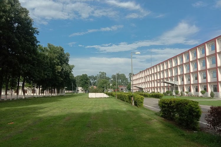 College of Engineering & Management, Kapurthala