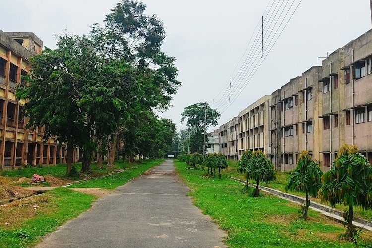 College of Engineering and Management, Kolaghat, Medinipur