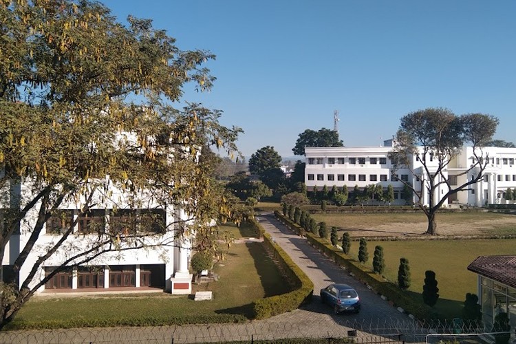 College of Engineering, Roorkee