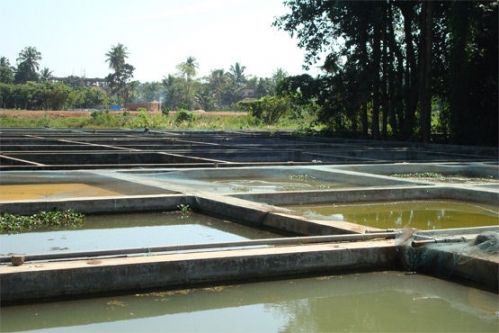 College of Fisheries, Mangalore