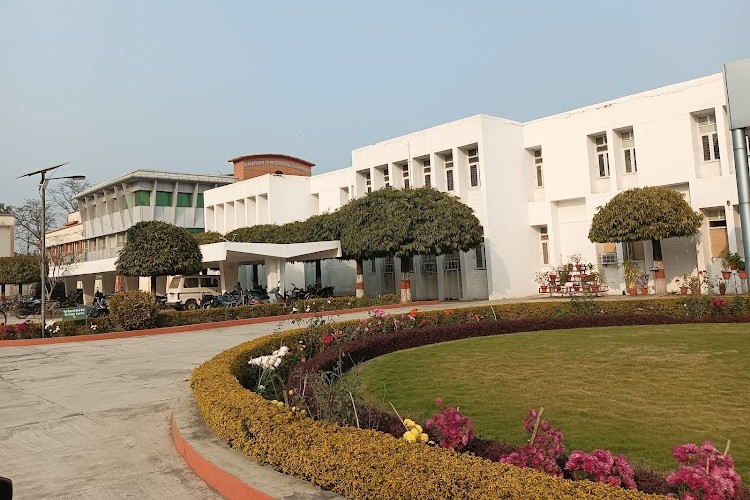 Govind Ballabh Pant University of Agriculture and Technology, Pantnagar