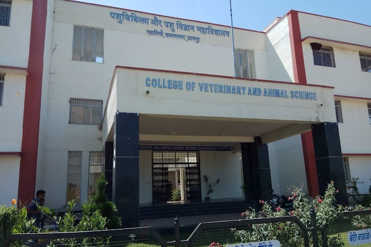 College of Veterinary and Animal Sciences, Udaipur