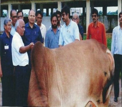 College of Veterinary Science & Animal Husbandry Anjora Campus Tour, Durg - College of Veterinary Science & Animal Husbandry Anjora Campus Tour, Durg -